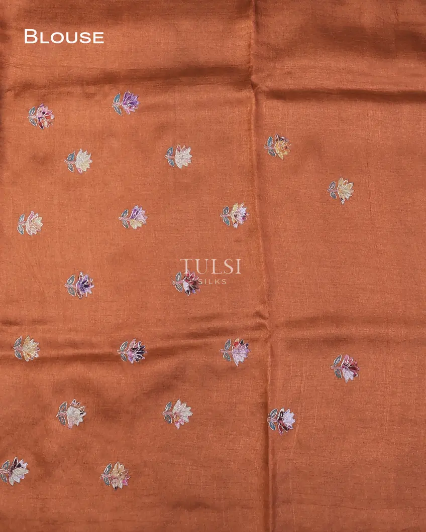 rust-tussar-embroidery-saree-t738872-t738872-c