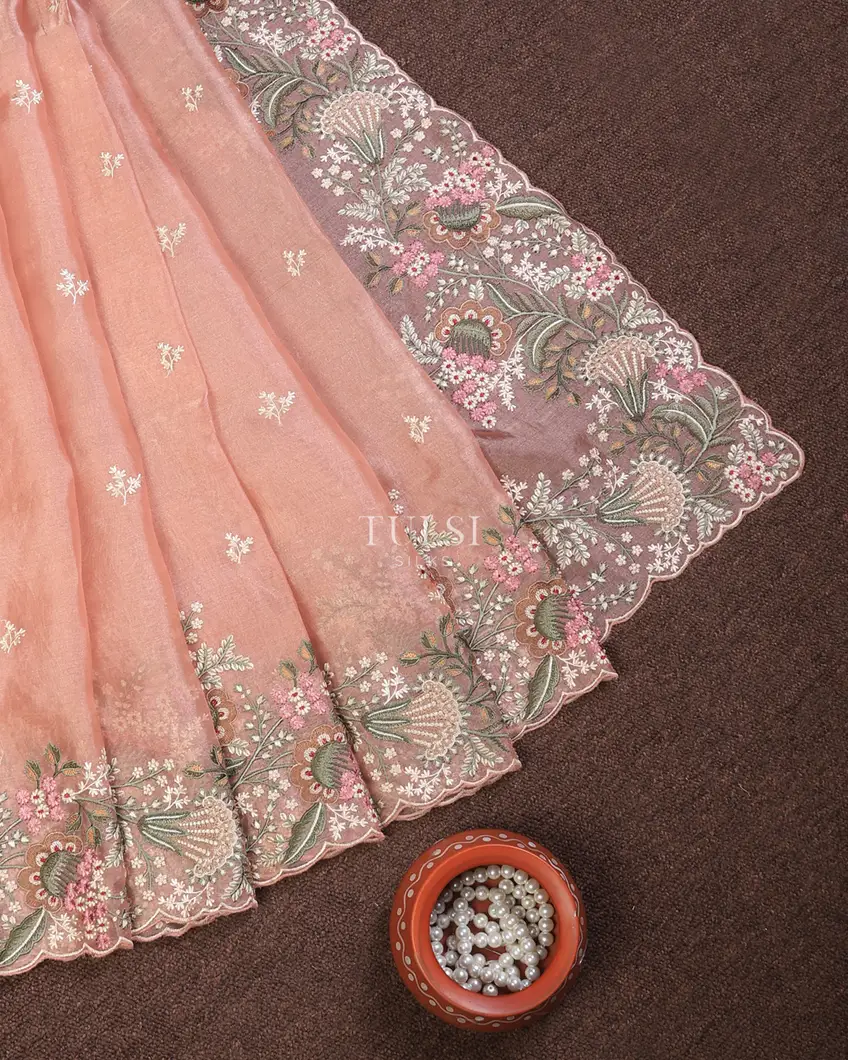 light-peach-kora-tissue-organza-embroidery-saree-t739383-t739383-b