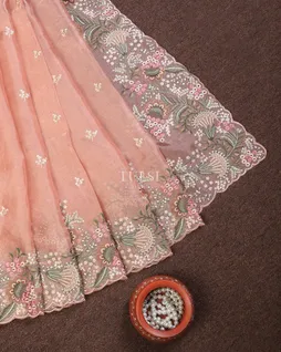 light-peach-kora-tissue-organza-embroidery-saree-t739383-t739383-b