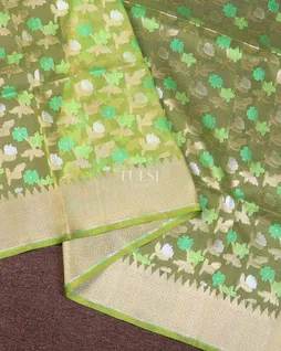 green-banaras-organza-saree-t736423-t736423-a