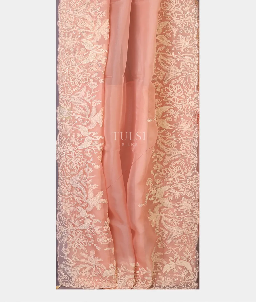 pink-kora-organza-embroidery-saree-t740463-t740463-b