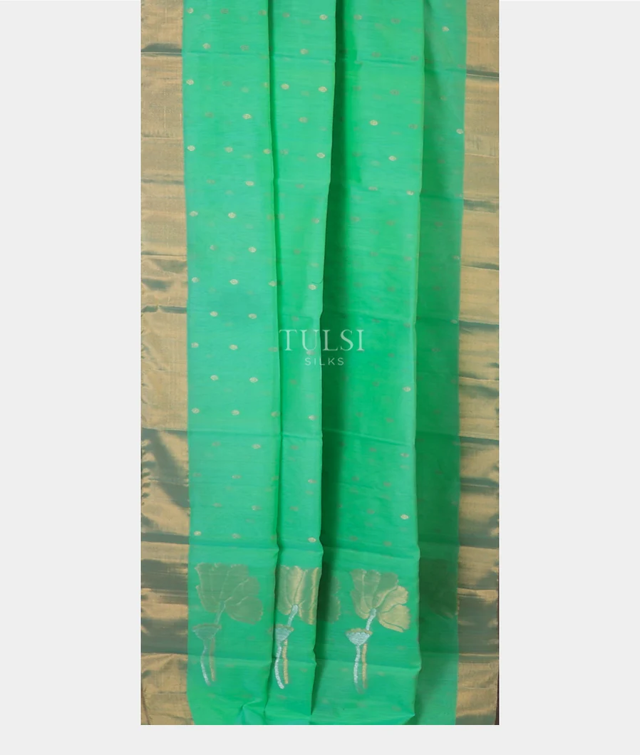 green-silk-cotton-saree-t738240-t738240-b