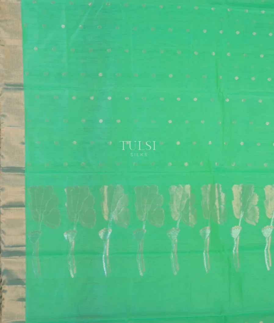 green-silk-cotton-saree-t738240-t738240-d