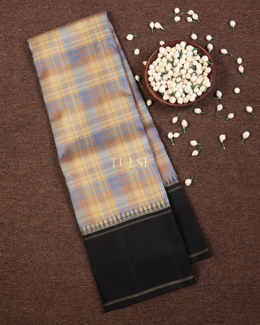 Multicolour Kanjivaram Silk Saree T737340-image