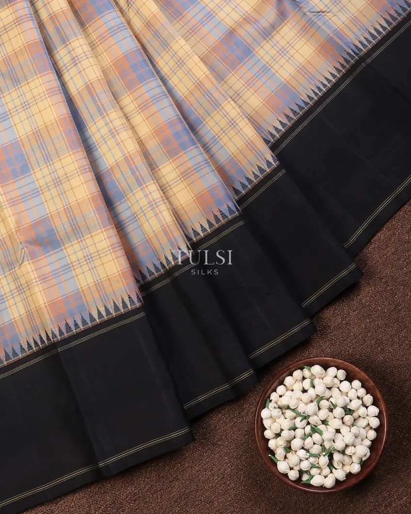 multicolour-kanjivaram-silk-saree-t737340-t737340-b