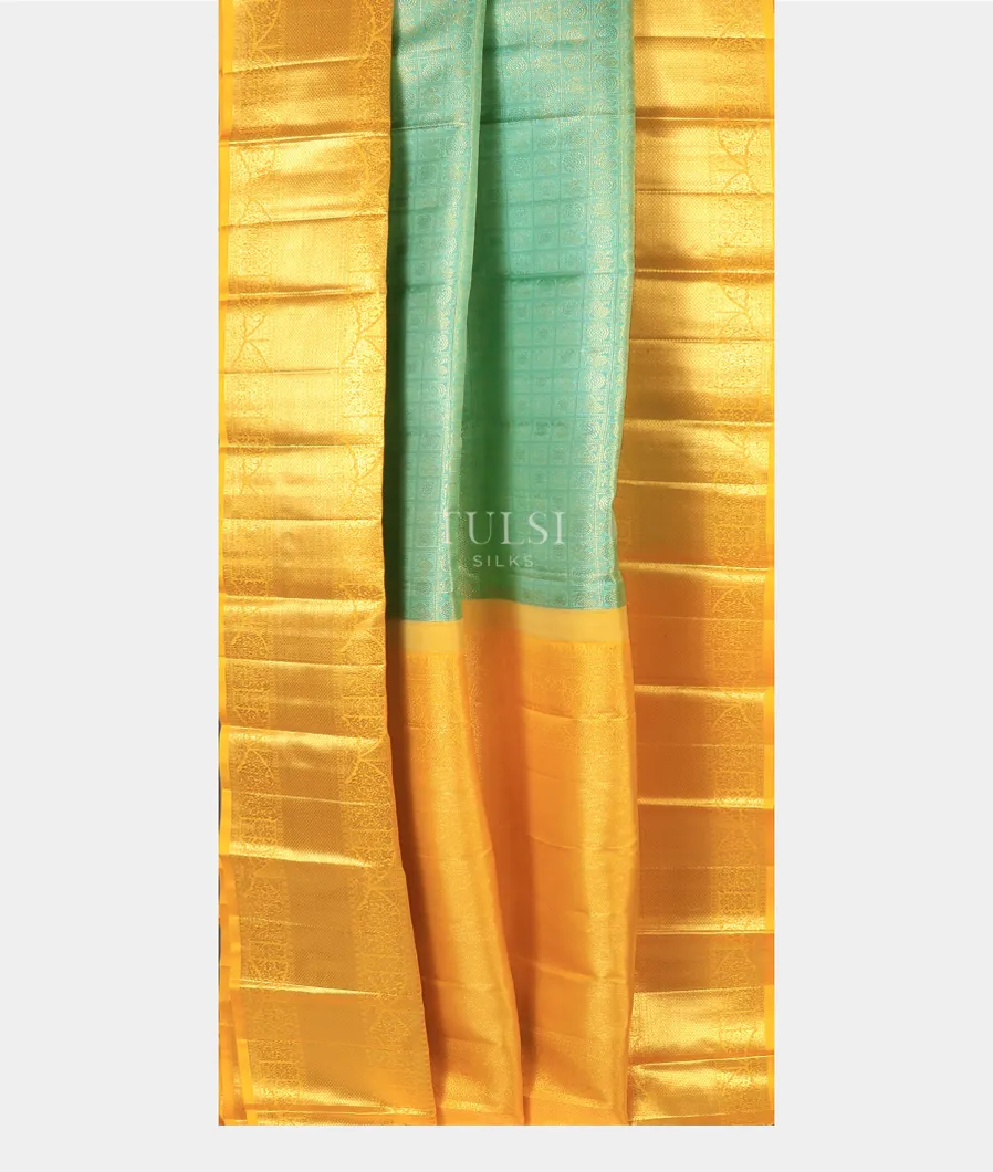 light-green-kanjivaram-silk-saree-t732021-t732021-b