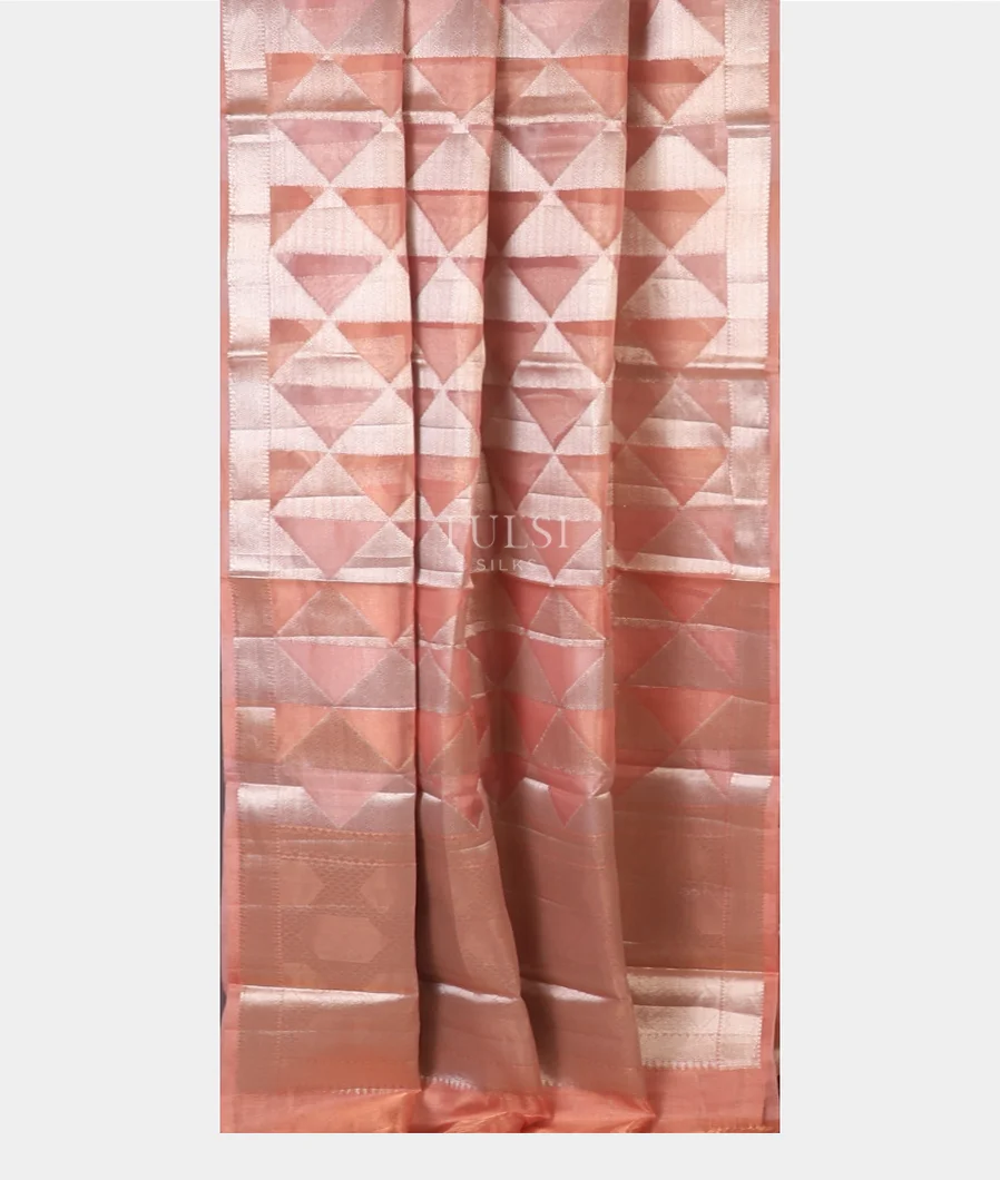 pink-banaras-tissue-organza-saree-t714442-t714442-b