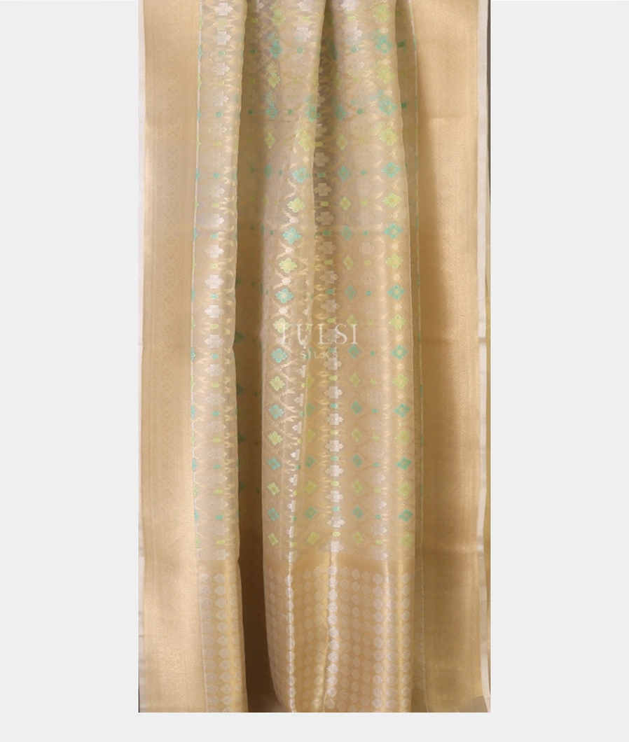light-beige-banaras-organza-saree-t736437-t736437-b