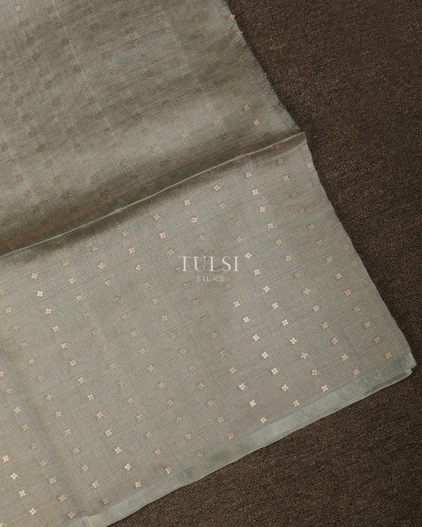 Grey Handwoven Tissue Organza Saree T740573-image