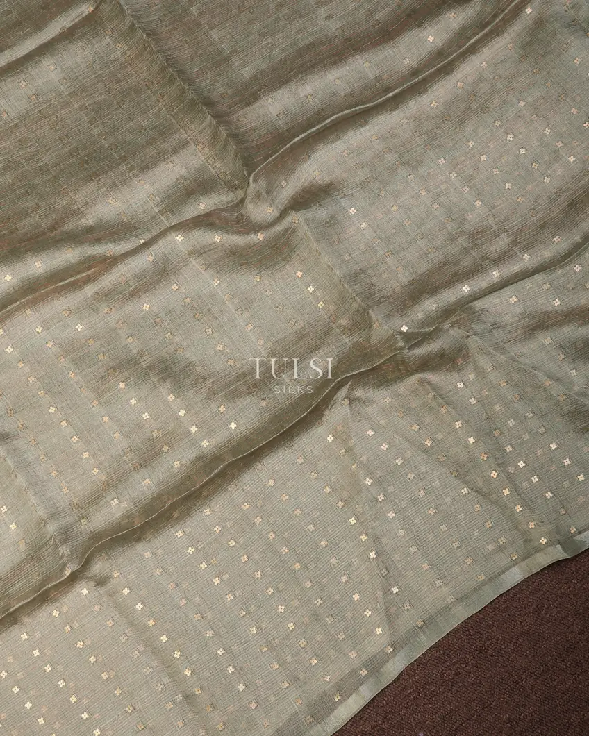 grey-handwoven-tissue-organza-saree-t740573-t740573-d