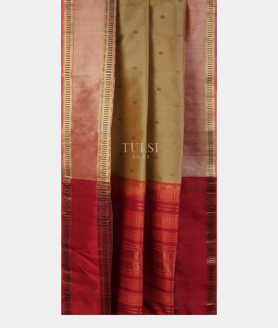 beige-silk-cotton-saree-t745606-t745606-b