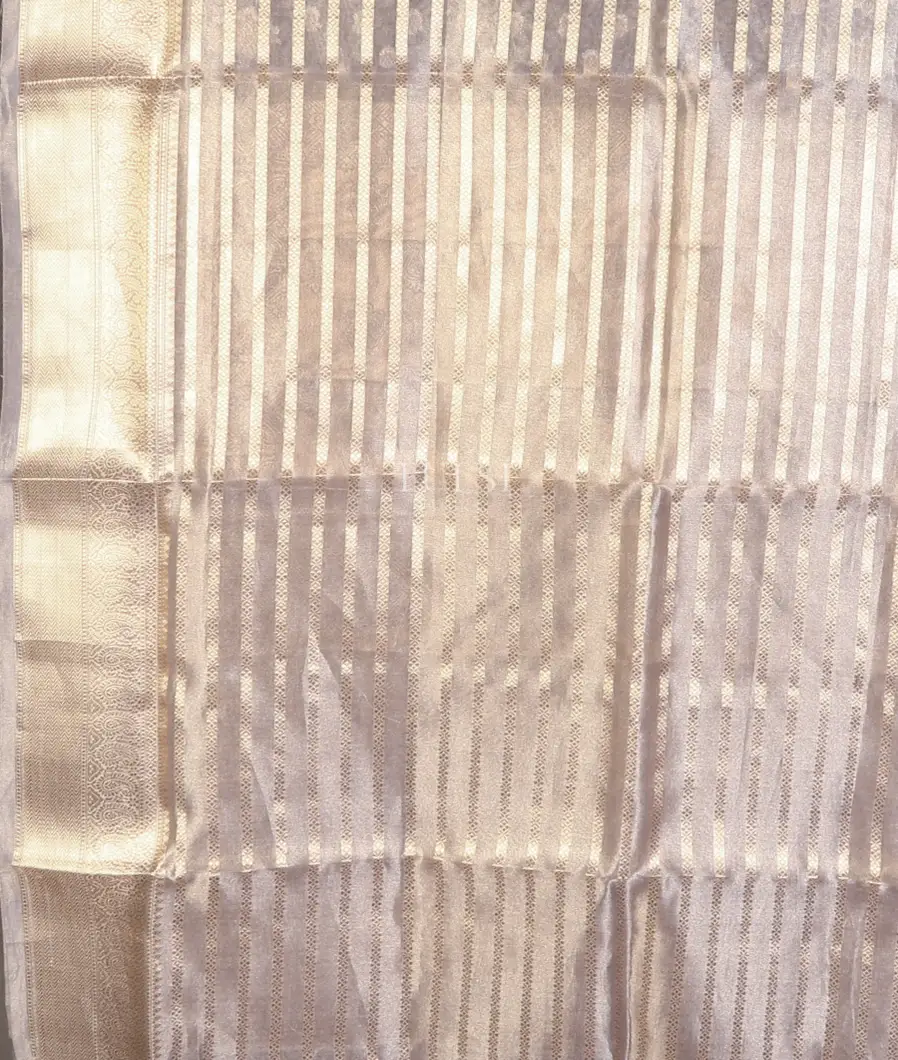 grey-banaras-tissue-organza-saree-t684729-t684729-c