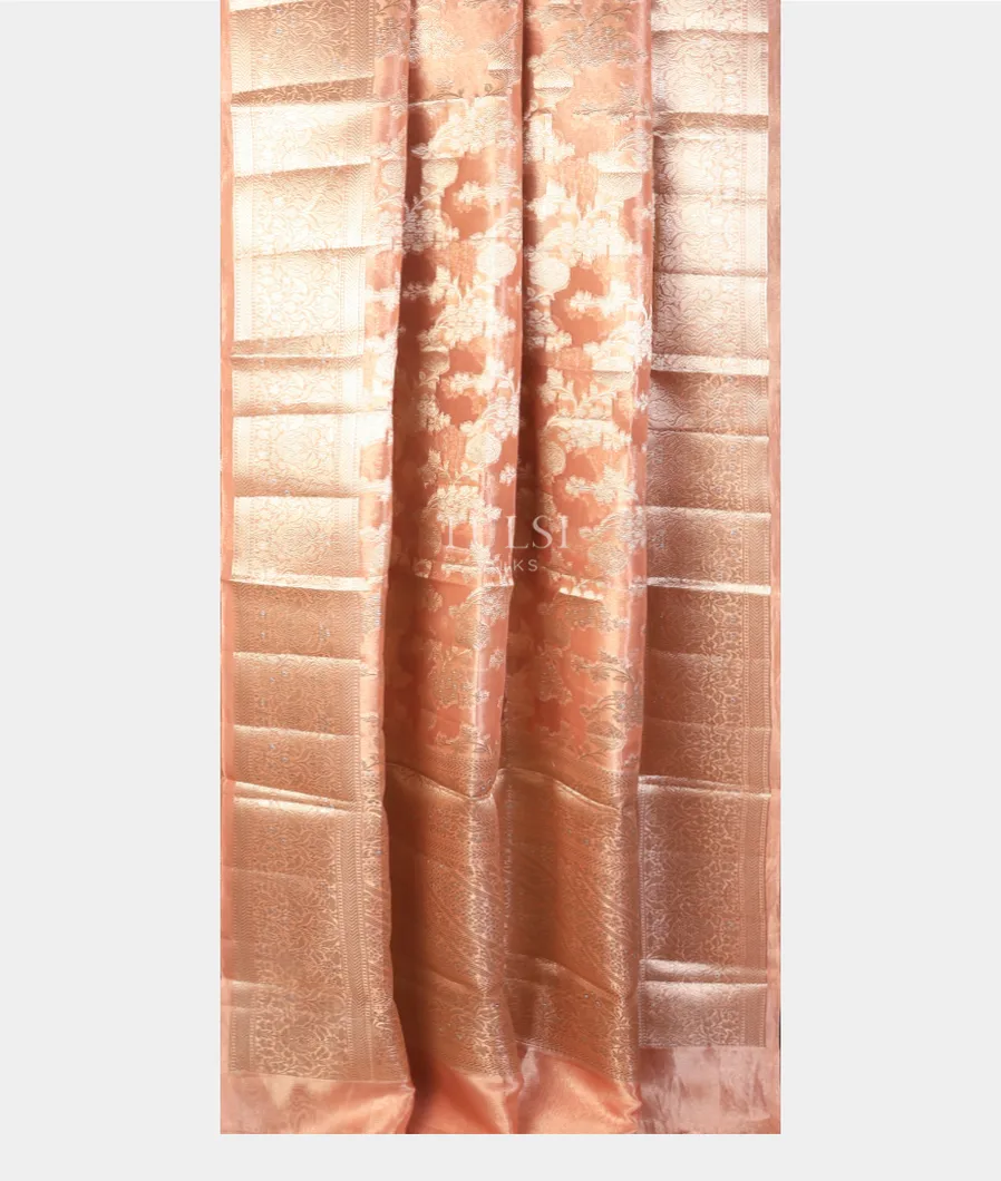 peach-banaras-tissue-organza-saree-t743761-t743761-b