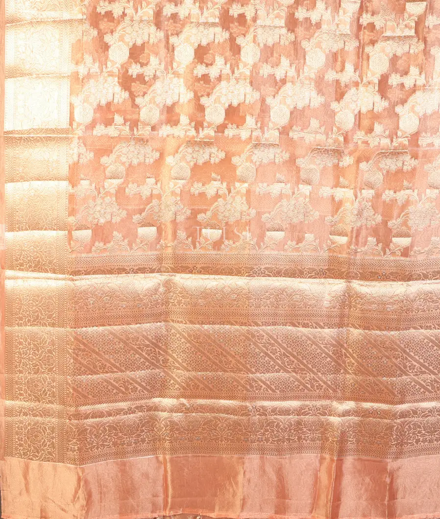peach-banaras-tissue-organza-saree-t743761-t743761-d