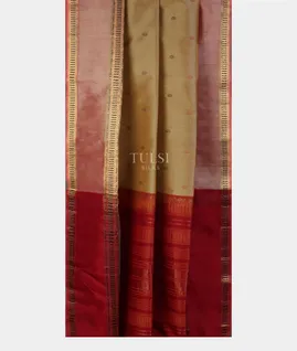 beige-silk-cotton-saree-t745606-t745606-b