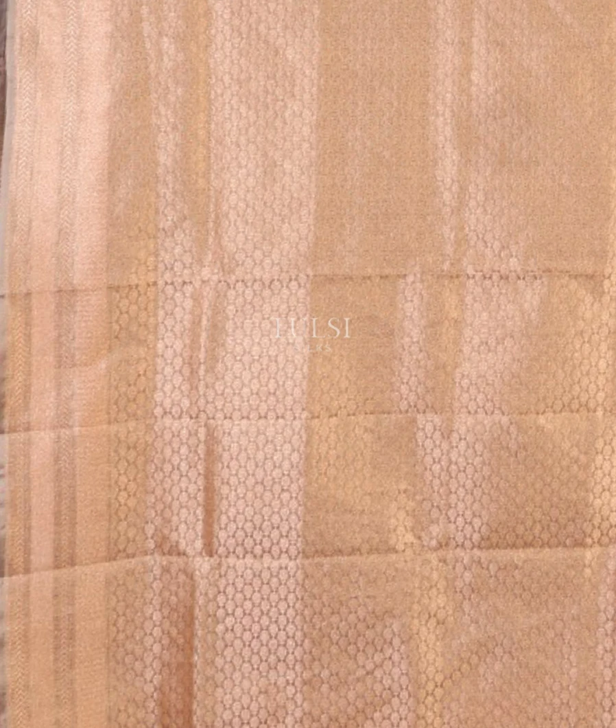 grey-banaras-tissue-silk-saree-t709883-t709883-c