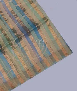 multicolour-tussar-organza-saree-t699158-t699158-a