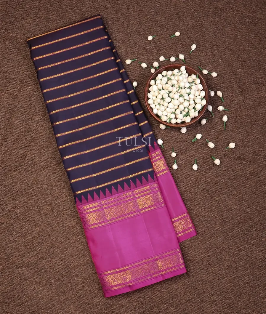 Blue Kanjivaram Silk Saree T730265-image