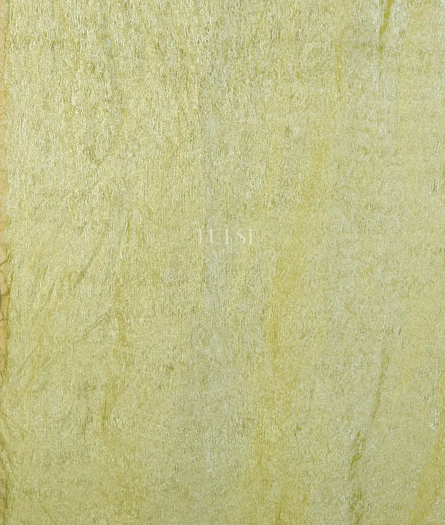 green-munga-tussar-saree-t730473-t730473-c