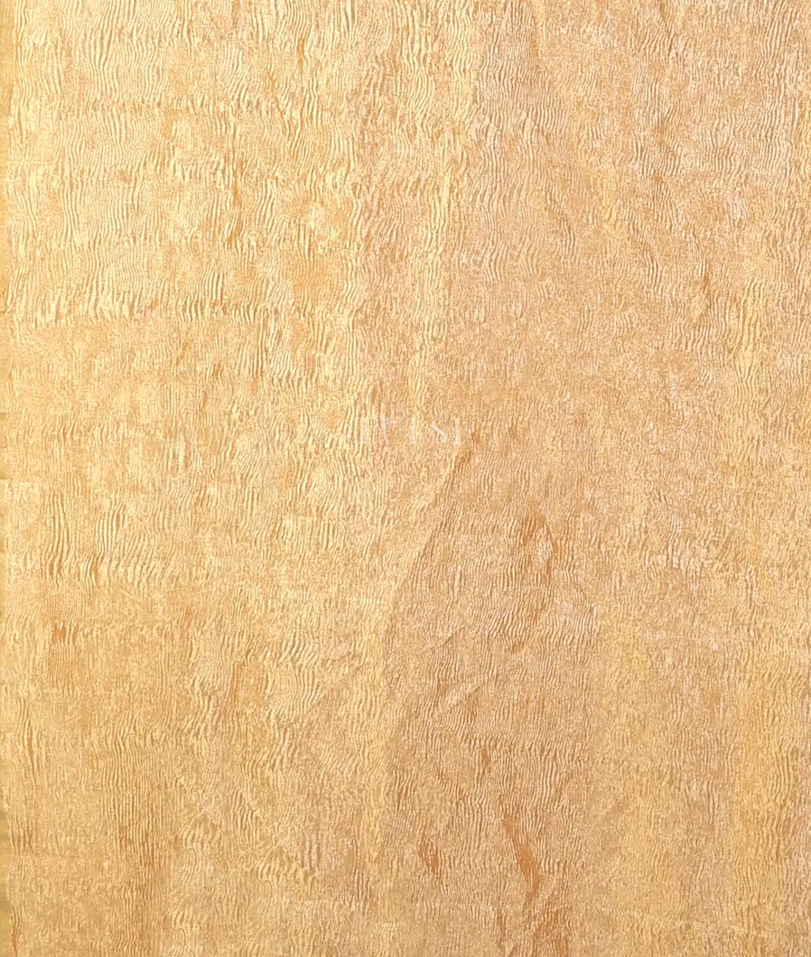 multicolour-munga-tussar-saree-t744456-t744456-c