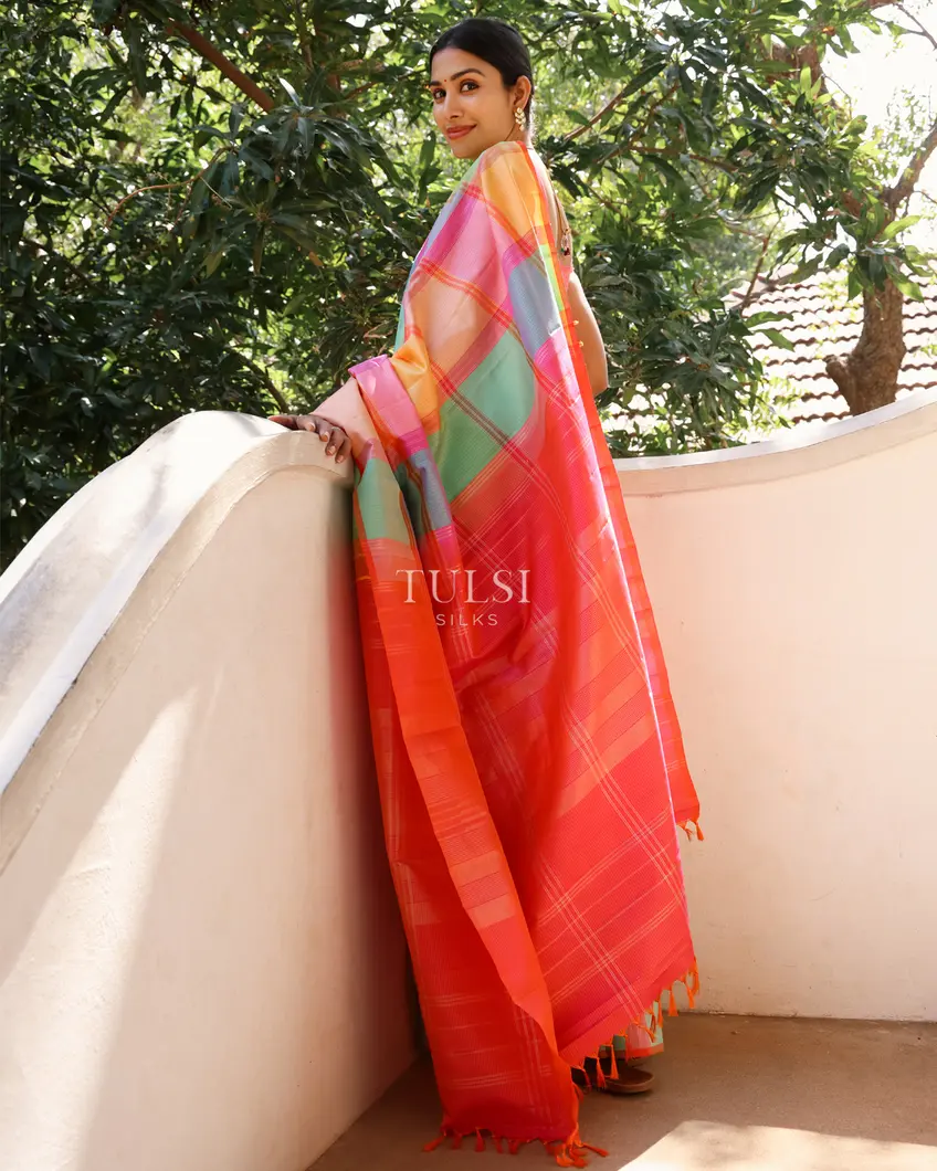 multicolour-kanjivaram-silk-saree-t730837-t730837-j