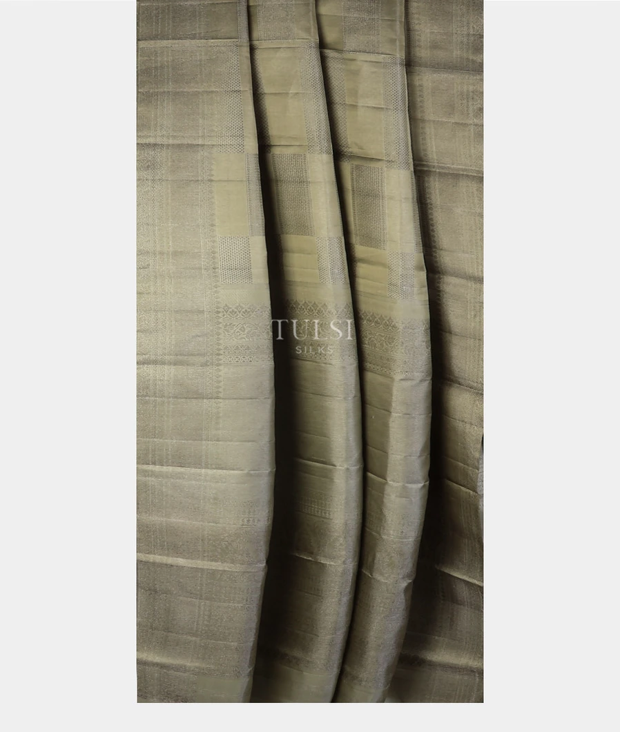 khaki-green-kanjivaram-silk-saree-t676891-t676891-b