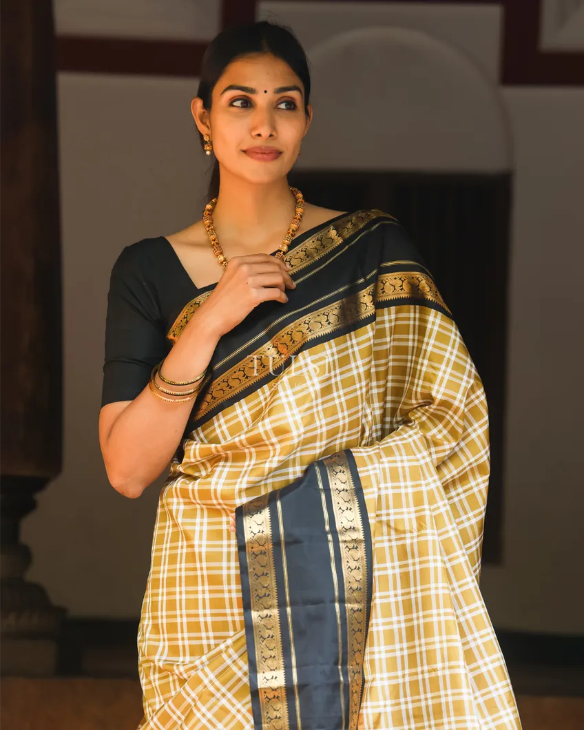 Khaki Brown Kanjivaram Silk Saree T740497-image