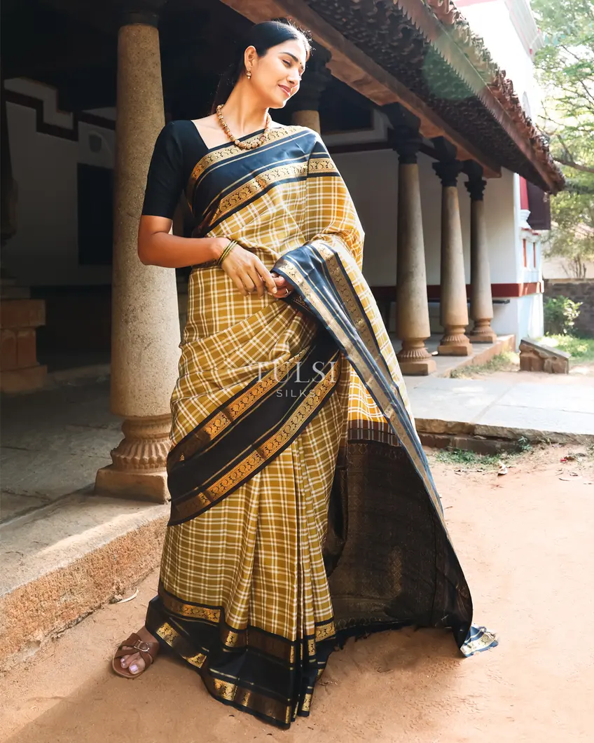 khaki-brown-kanjivaram-silk-saree-t740497-t740497-b