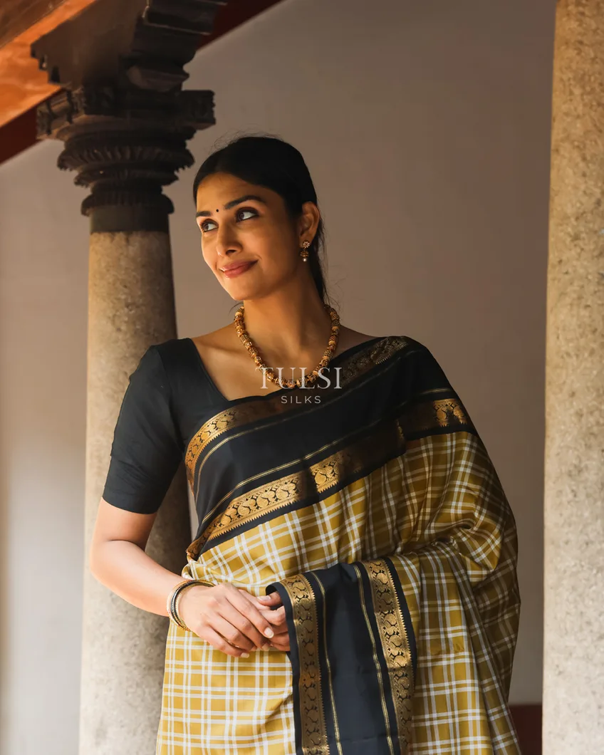 khaki-brown-kanjivaram-silk-saree-t740497-t740497-d