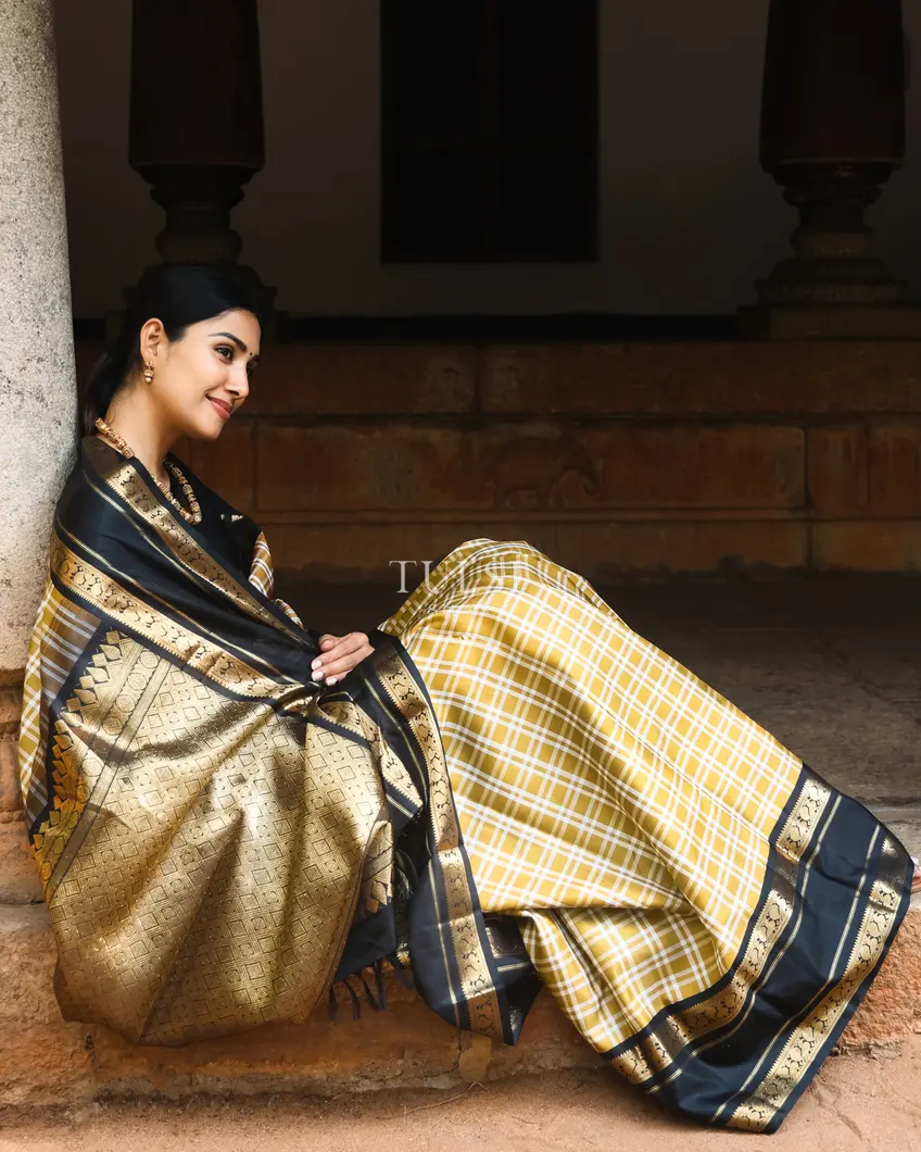 khaki-brown-kanjivaram-silk-saree-t740497-t740497-f