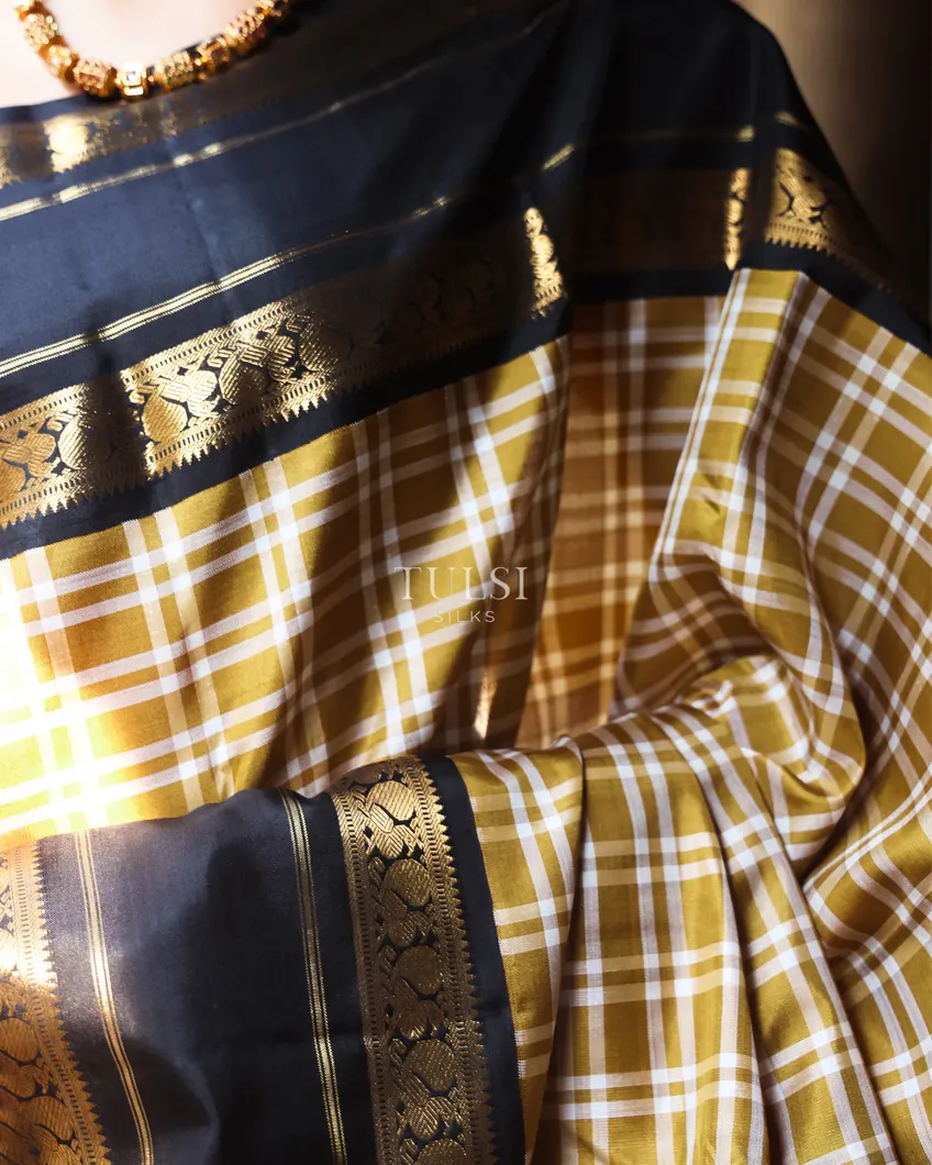 khaki-brown-kanjivaram-silk-saree-t740497-t740497-g