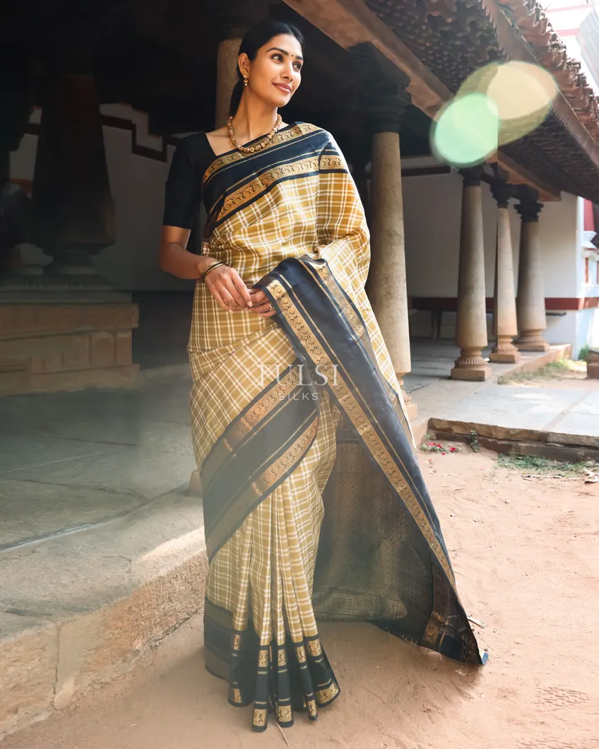 khaki-brown-kanjivaram-silk-saree-t740497-t740497-h