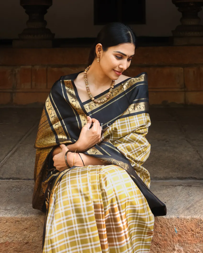 khaki-brown-kanjivaram-silk-saree-t740497-t740497-i
