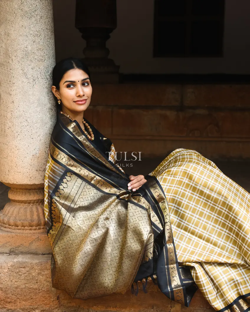 khaki-brown-kanjivaram-silk-saree-t740497-t740497-k