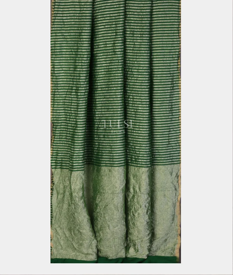 green-munga-tussar-saree-t730453-t730453-b