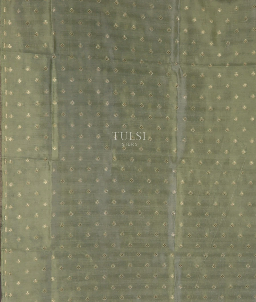 goldish-green-tissue-kota-saree-t745376-t745376-c