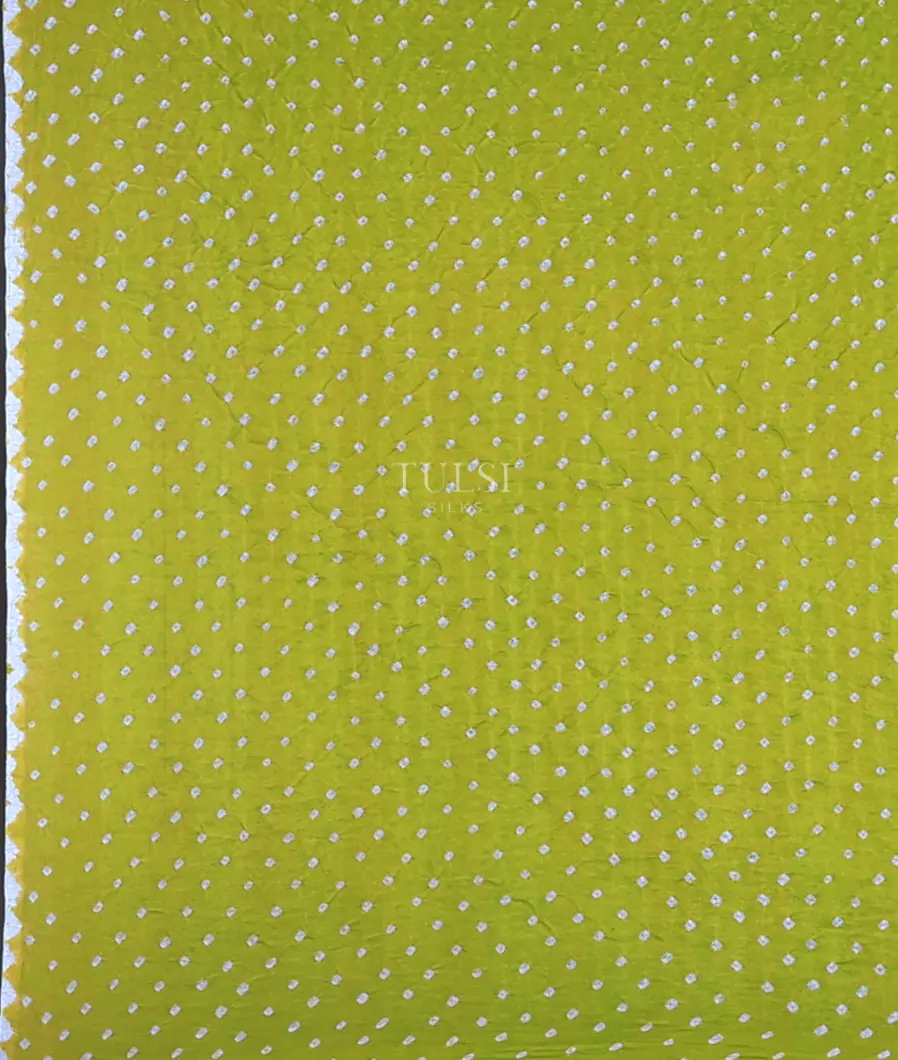 green-bandhani-gajji-silk-saree-t743005-t743005-c