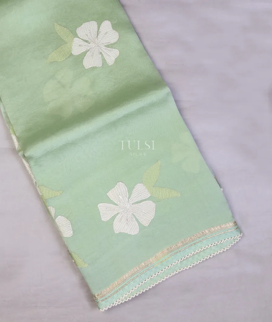 Light Green Kora Organza Embroidery Saree T747717-image