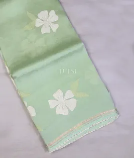 light-green-kora-organza-embroidery-saree-t747717-t747717-a