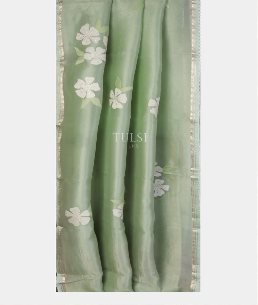 light-green-kora-organza-embroidery-saree-t747717-t747717-b