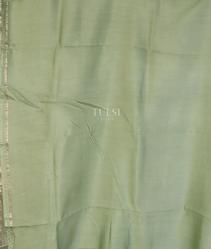 light-green-kora-organza-embroidery-saree-t747717-t747717-c