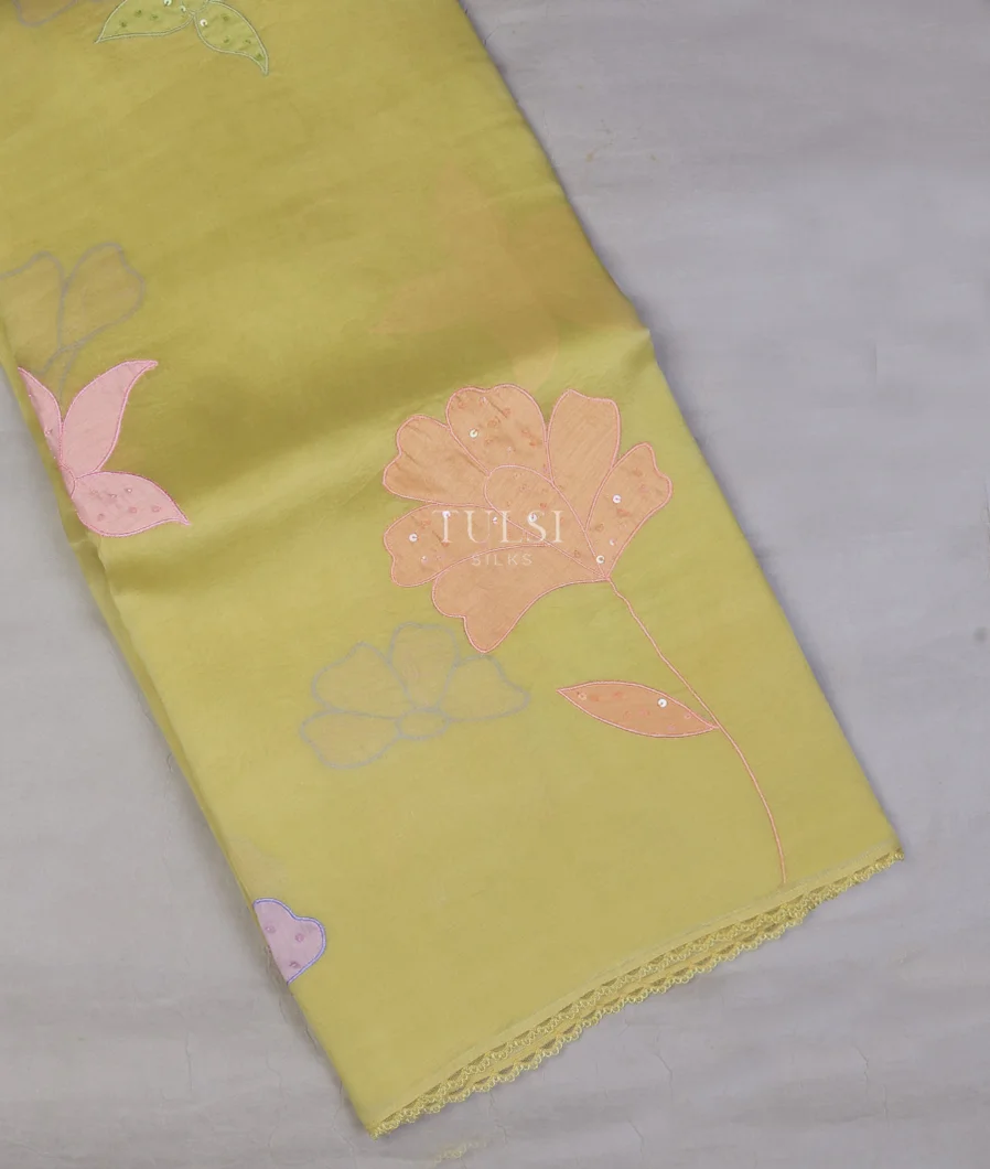 Greenish Yellow Kora Organza Embroidery Saree T738950-image