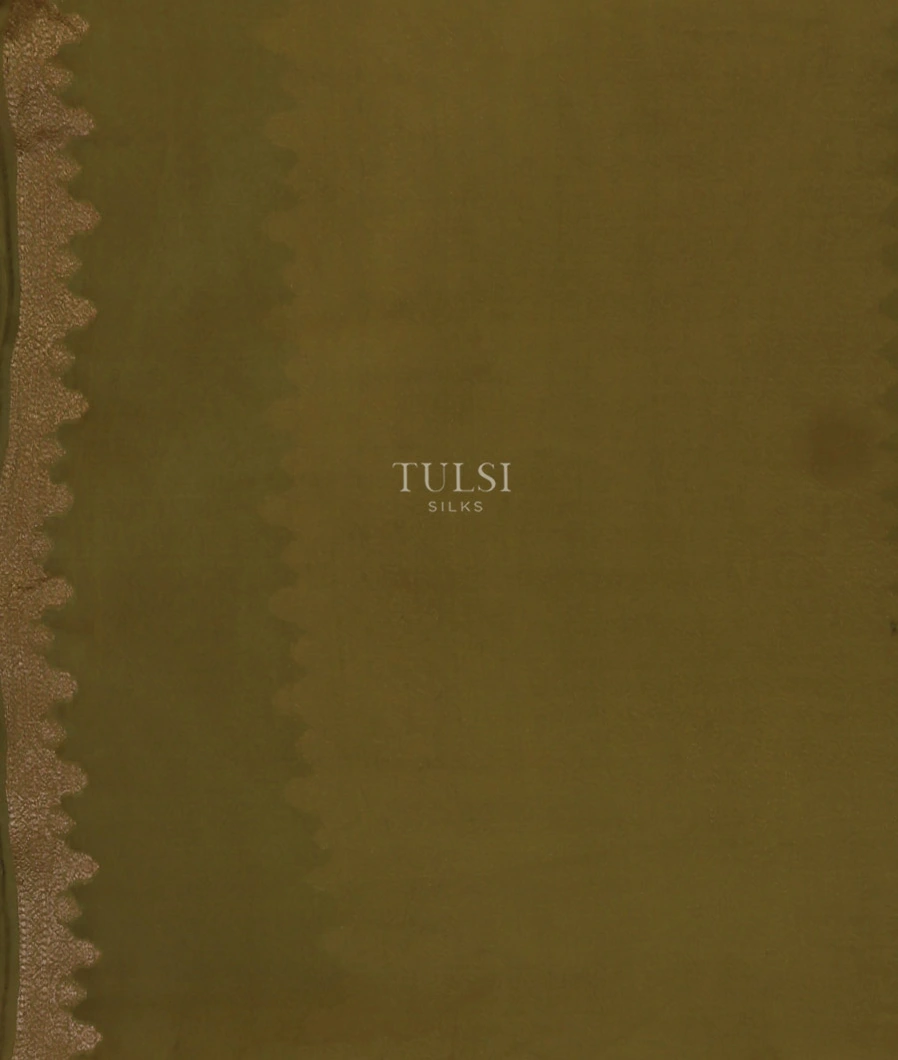 green-banaras-georgette-silk-saree-t746173-t746173-c