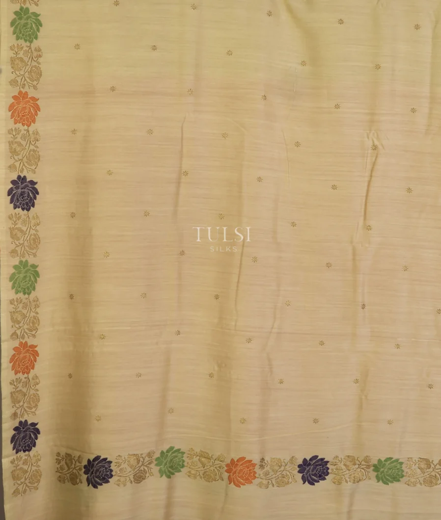 beige-banaras-tussar-saree-t749257-t749257-d