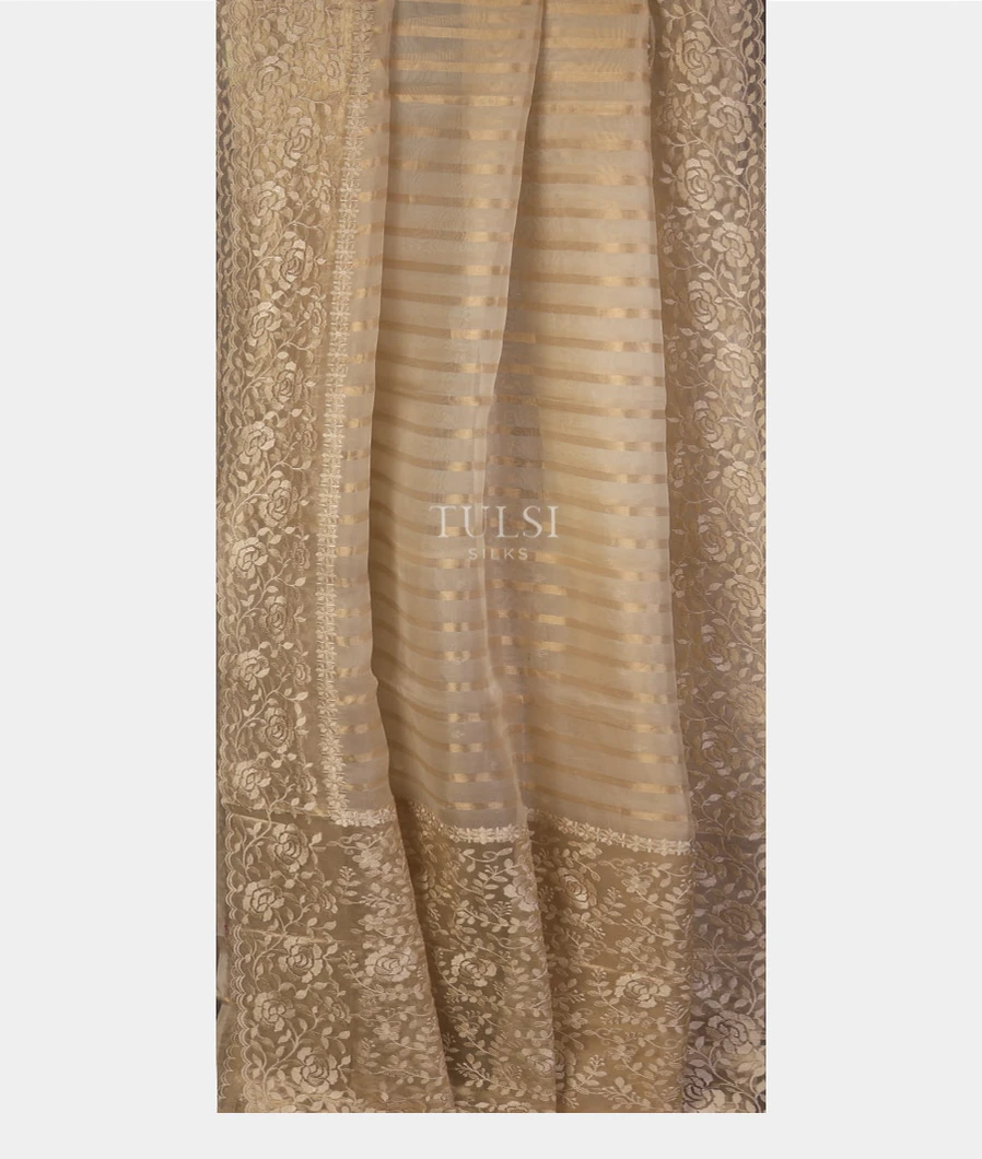 beige-organza-embroidery-saree-t743427-t743427-b