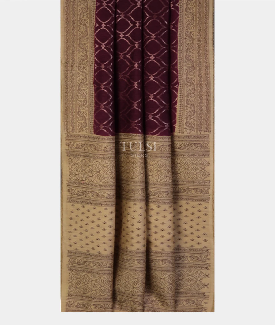 beige-tussar-embroidery-sareet709598-t709598-b