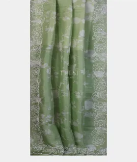 green-kora-organza-embroidery-saree-t743662-t743662-b