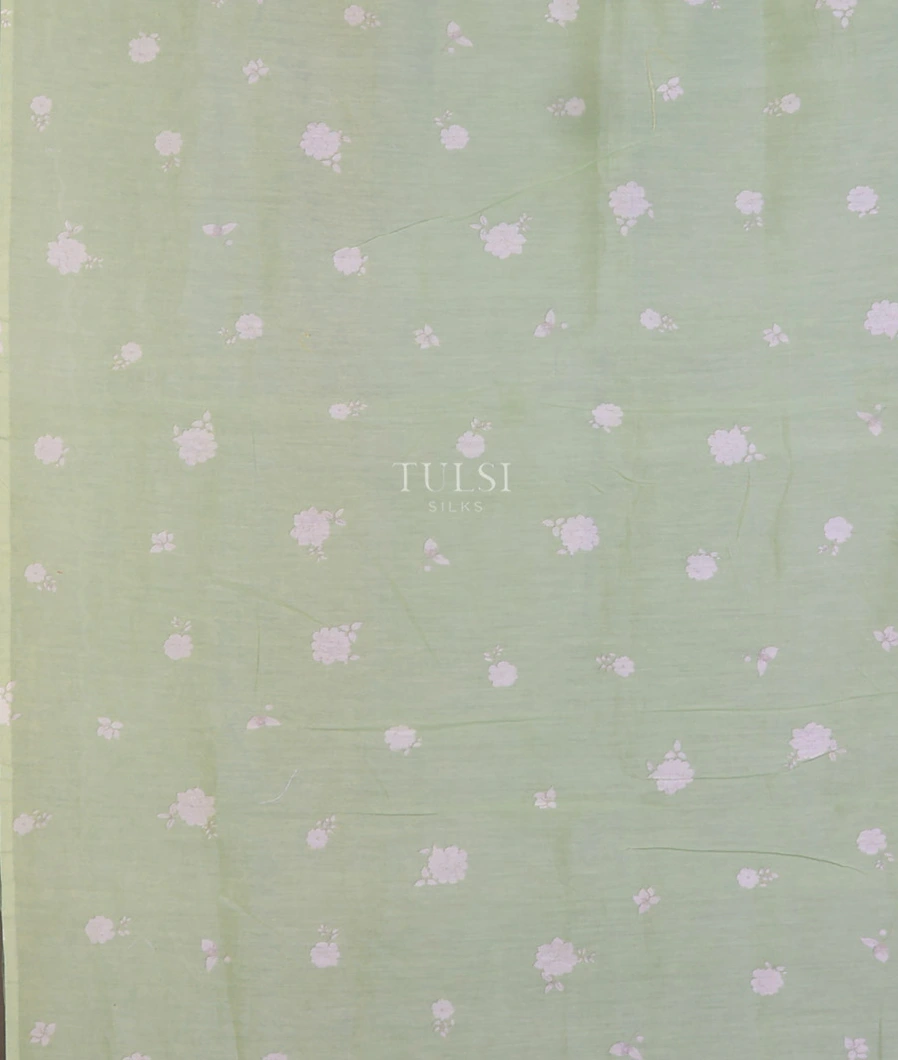 green-kora-organza-embroidery-saree-t743662-t743662-c