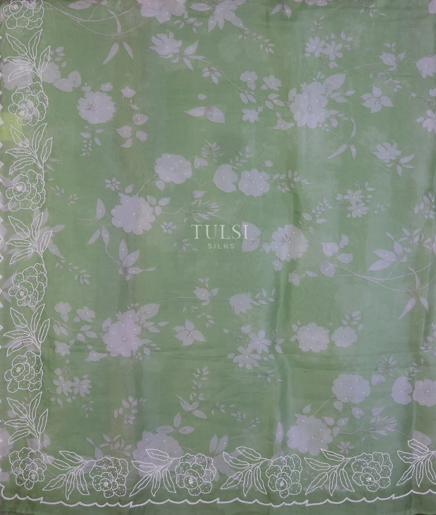 green-kora-organza-embroidery-saree-t743662-t743662-d