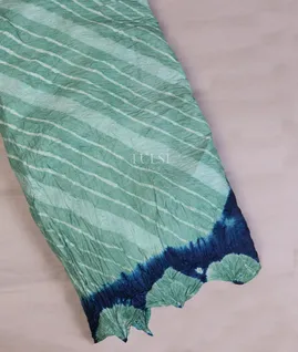 bluish-green-bandhani-tussar-saree-t669364-1-t669364-1-a